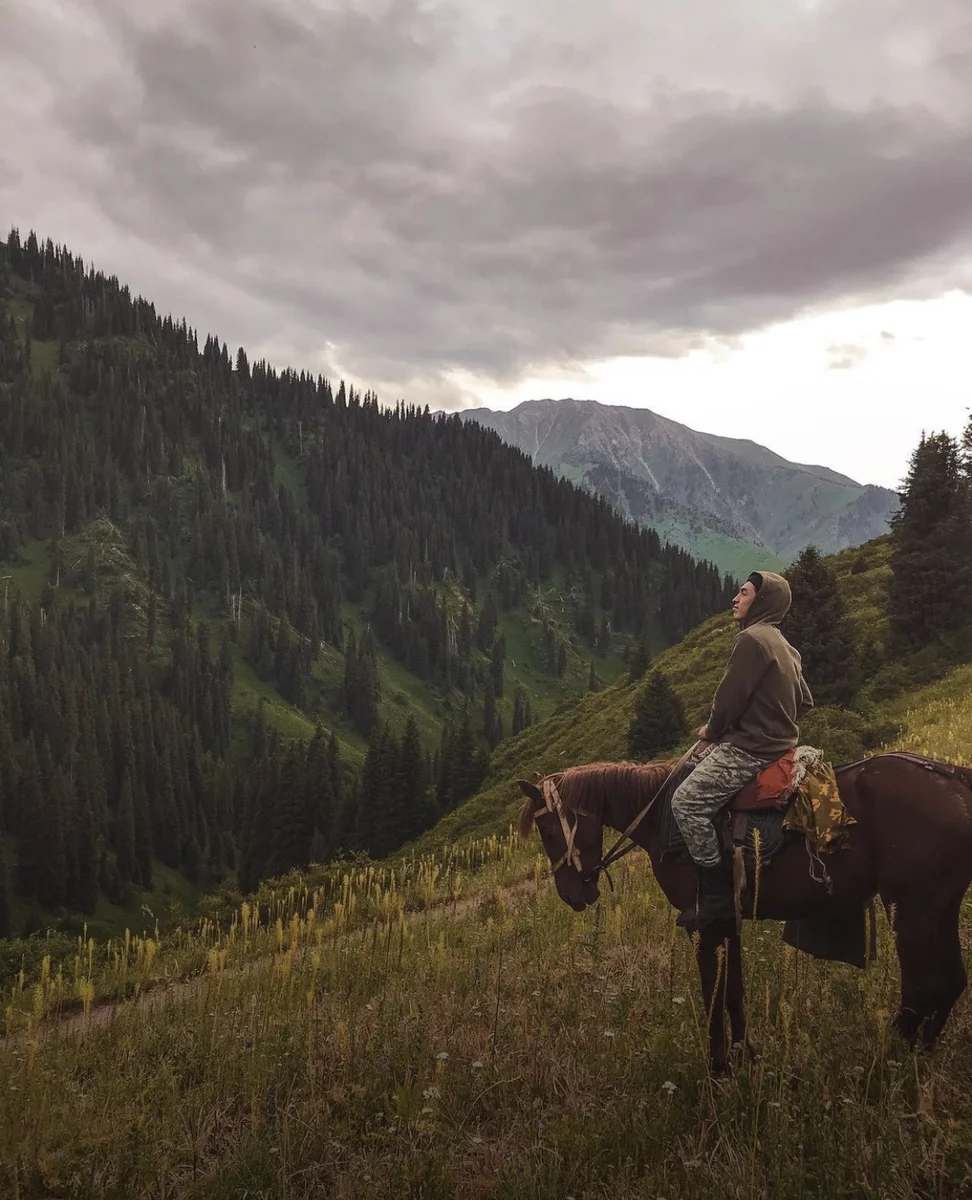 Rider on horseback pausing to admire a forested mountain valley under stormy skies